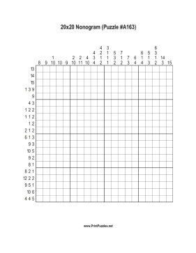 Nonogram - 20x20 - A163 Printable Puzzle